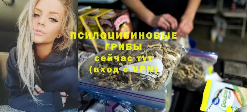 Галлюциногенные грибы MAGIC MUSHROOMS  Катайск 